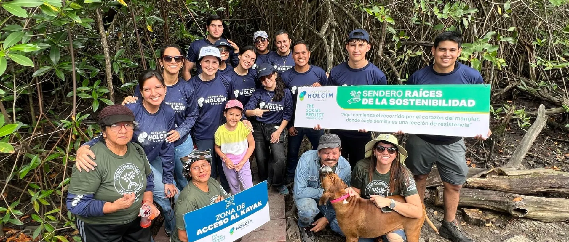 Image source - https://www.holcim.com/who-we-are/our-stories/mangrove-restoration-ecuador