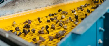 rco_materials_sorted