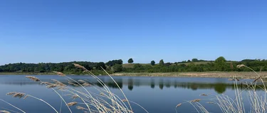 newbold-wetland2.jpg
