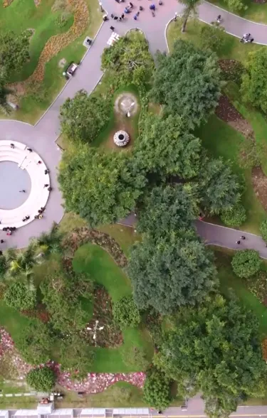 park-drone-shutterstock.png