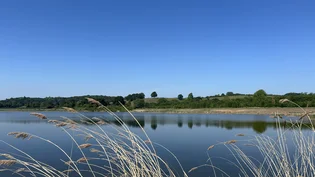 newbold-wetland2.jpg