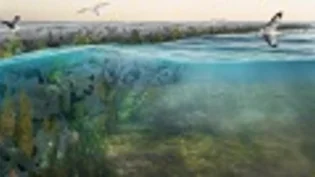 xstone-reef_credits_esmee_van_eeden.png