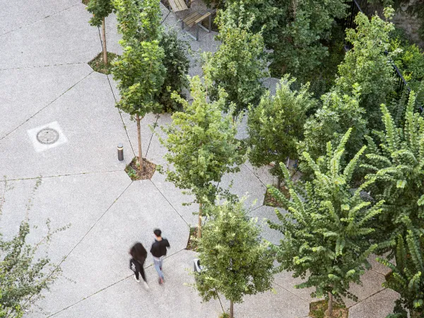 Paris urban forest constructed with Holcim’s Hydromedia permeable concrete.
