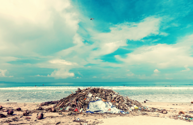 Burst the marine litter bubble