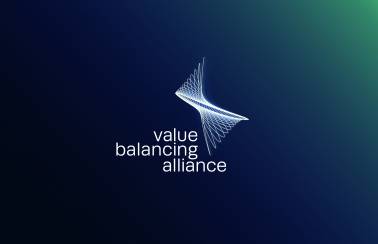 价值平衡联盟