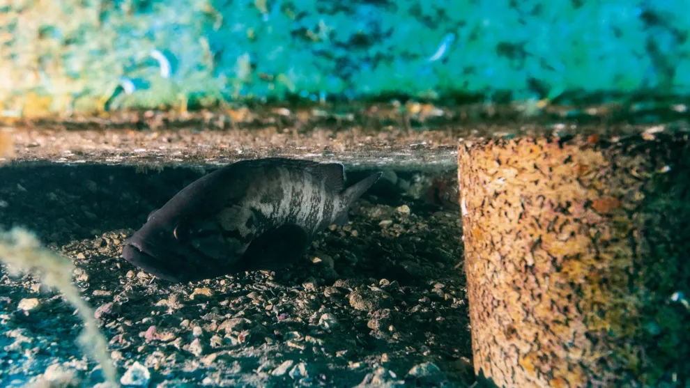 copie_de_sans_titre_19_