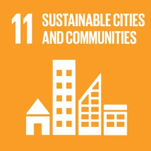 sdg_11_sustainable_cities.png