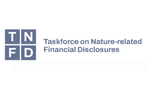 tnfd logo