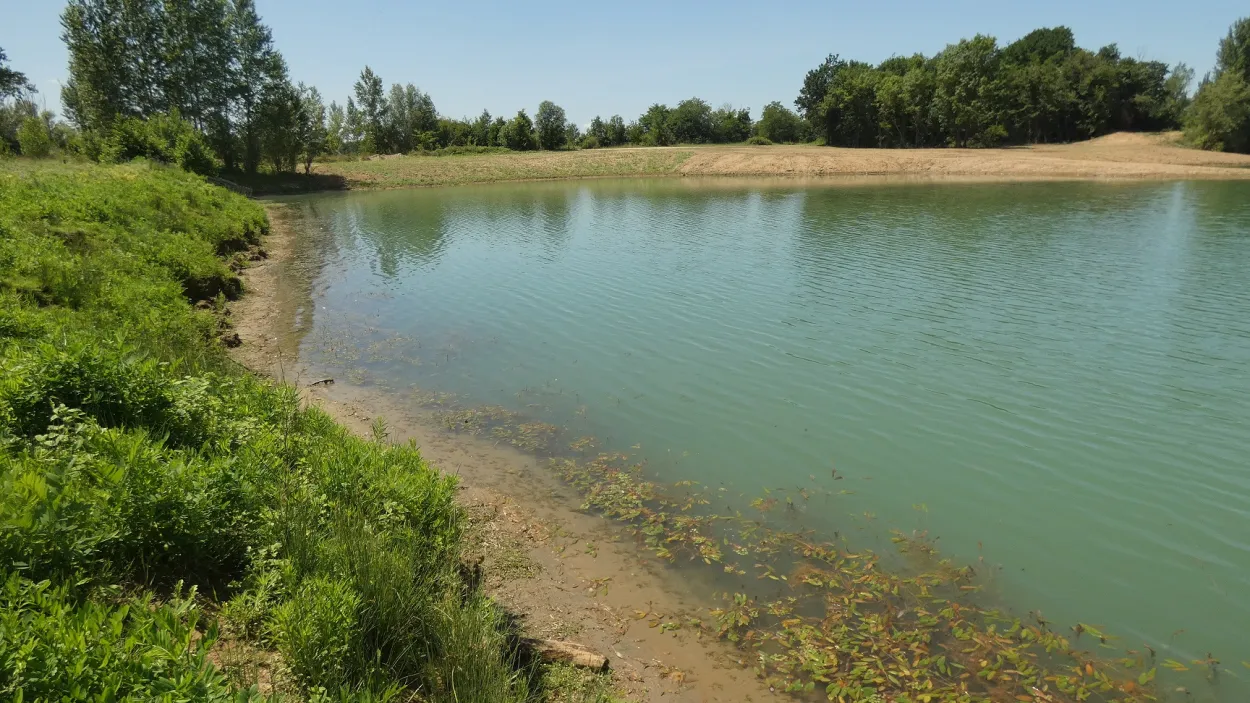 bordeaux-france_working_quarry_wetlands_landscape_2.JPG