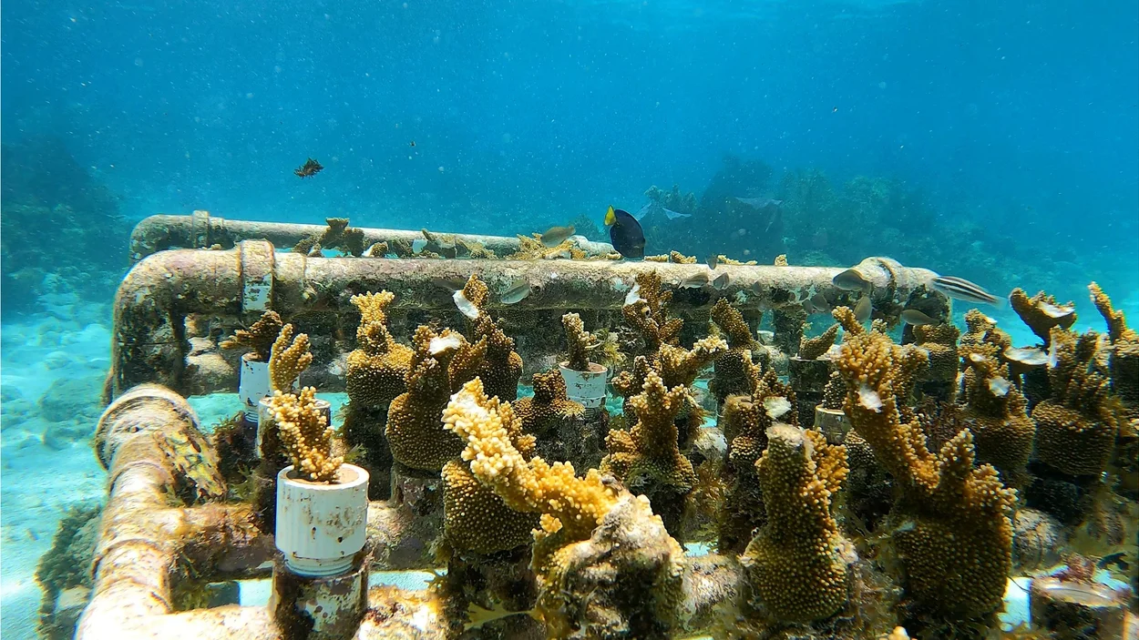 cancun.jpg