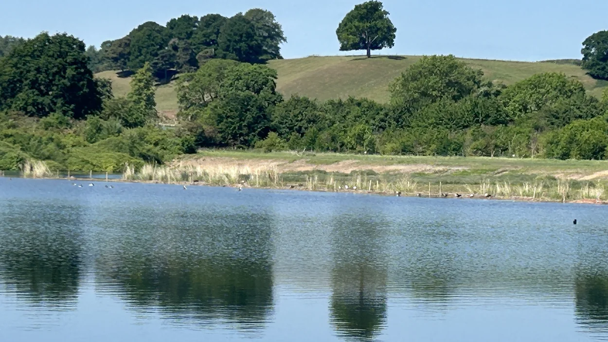 newbold-wetland4.jpg