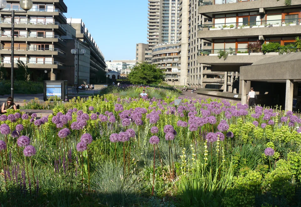 gb_barbican_beech_garden2.JPG