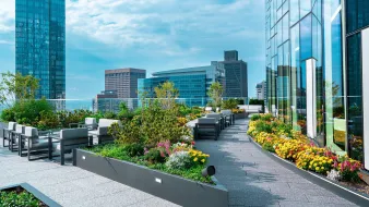 winthrop center_roof view