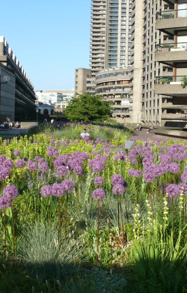 gb_barbican_beech_garden2.JPG