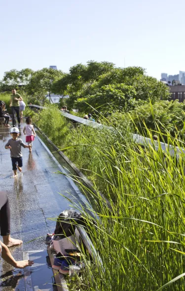 high rise, new york, zinco