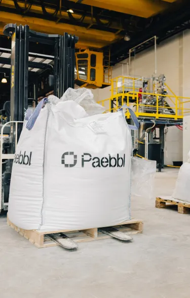 paebbl_big-bags.jpg