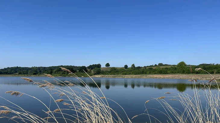 newbold-wetland2.jpg