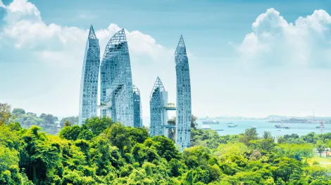 Holcim investor relations