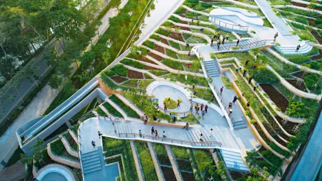 holcim_2021_thammat_urban_rooftop_farm_01_srgb-1.jpg