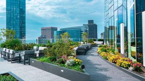 winthrop center_roof view